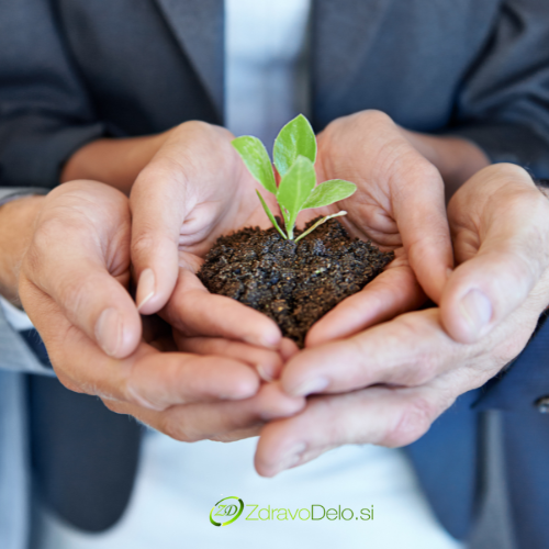 Izdelek brez naslova (5)